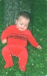 Hm still not able to sit alone need the
tree to hold me ;)